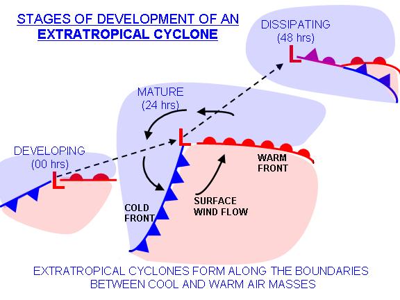 extratropical cyclones have warm and cold fronts