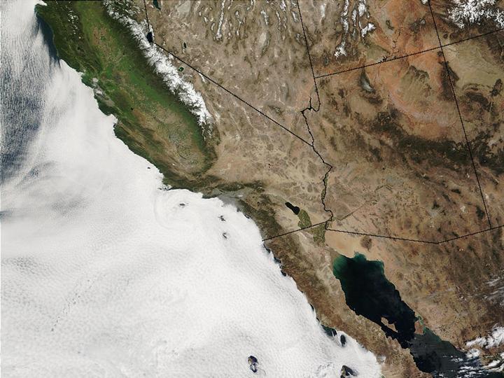 Marine stratocumulus clouds, which cool the climate system by reflecting sunlight,
				  are partly under the control of precipitation systems far away.